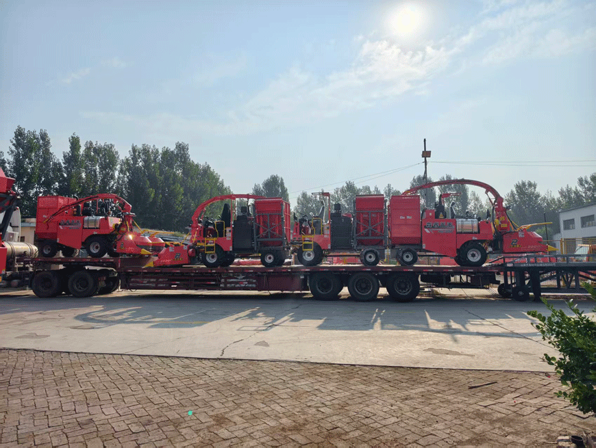 डिलीवरी के लिए तैयार: सेनरुई 4QZ-2000C साइलेज हार्वेस्टर पूरी तरह से असेंबल होकर भेजा गया—पशुधन फार्मों की दक्षता बढ़ाने के लिए! डिलीवरी के लिए तैयार: सेनरुई 4QZ-2000C साइलेज हार्वेस्टर पूरी तरह से असेंबल होकर भेजा गया—पशुधन फार्मों की दक्षता बढ़ाने के लिए!