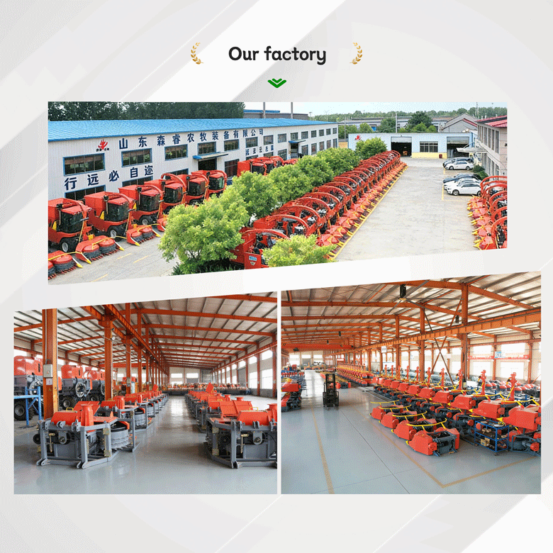 मध्य एशियाई कृषि बाजार में प्रवेश | उज़्बेकिस्तान कृषि प्रदर्शनी 2026 – हम वहाँ आपसे मिलने की प्रतीक्षा कर रहे हैं